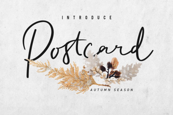 Discover the Elegance of Postcart Script