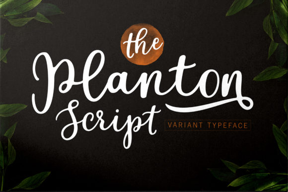 Introducing Planton Script: A Modern Hand-Lettered Font for Creative Professionals