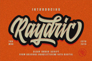 Raydric Script Shadow Outline: A Modern Handwritten Font with Distinctive Style